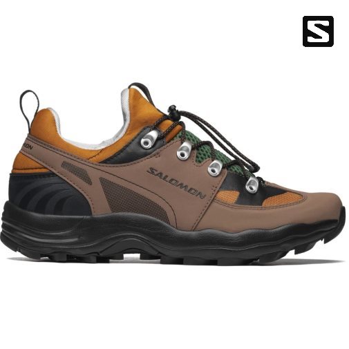 Salomon Raid Wind 75th Men's Sneakers Brown | CA 17A25